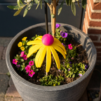 Deko-Blume Sonnenhut